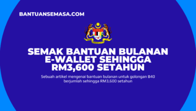 Semak Bantuan Bulanan E-wallet Sehingga RM3,600 Setahun