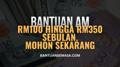Bantuan Am RM100 Hingga RM350 Sebulan, Mohon Sekarang