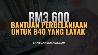 Semak Bantuan Perbelanjaan RM3,600 Untuk Golongan B40 Yang Layak