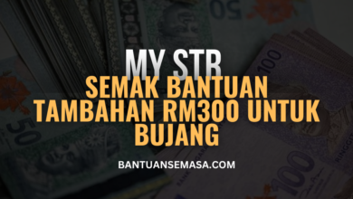 Semak Bantuan Tambahan STR RM300 Untuk Bujang