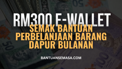 Bantuan Bulanan E-Wallet RM300 Untuk Perbelanjaan Barang Dapur