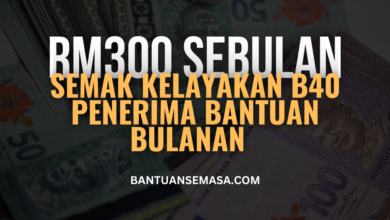 Semak Kelayakan Bantuan E-Wallet RM300 Sebulan
